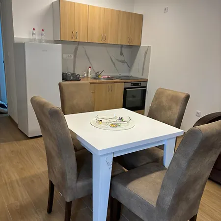 Apartment Popovic Ub