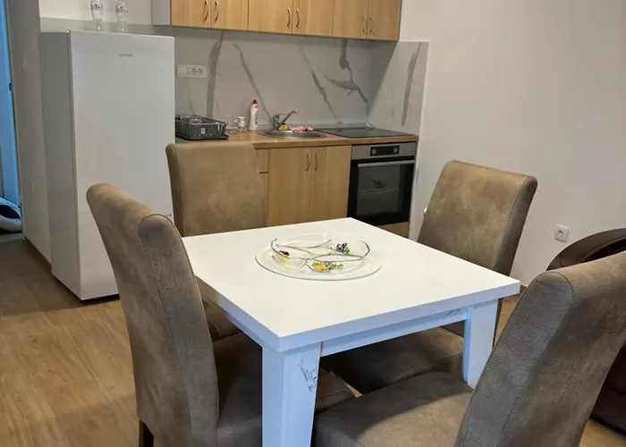 Apartment Popovic Ub